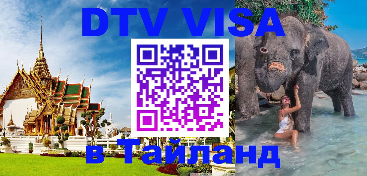 Сколько стоит DTV виза — актуальные цены, оформление даже без документов - 19.11.2025 